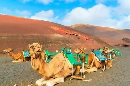 Willa Calma En Teguise, 