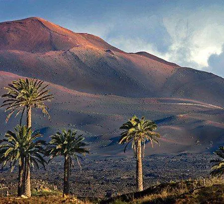 Calma En Teguise, 