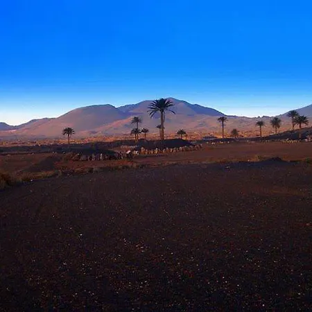 Calma En Teguise, 